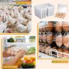 imageZubebe 400 Pcs Plastic Egg Cartons Clear Egg Cartons Bulk Blank Tray for Chicken Farm Business Market Home Refrigerator Storage